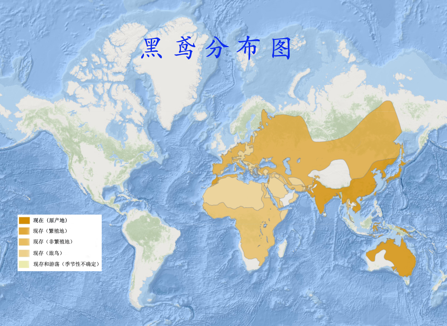 黑鳶([黑]鳶)