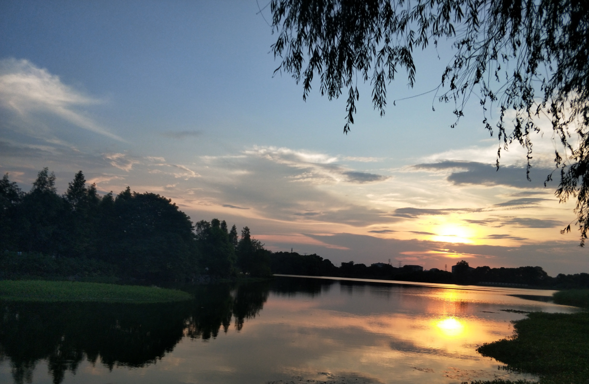 湖 南 瓊 湖 國 家 濕 地 公 園