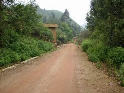 進村道路