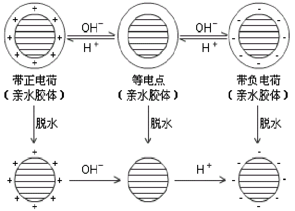 沉澱點