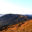 酃峰