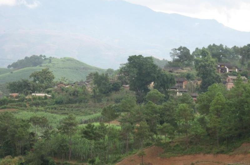 丫口田村(雲南景東縣太忠鄉下轄村)