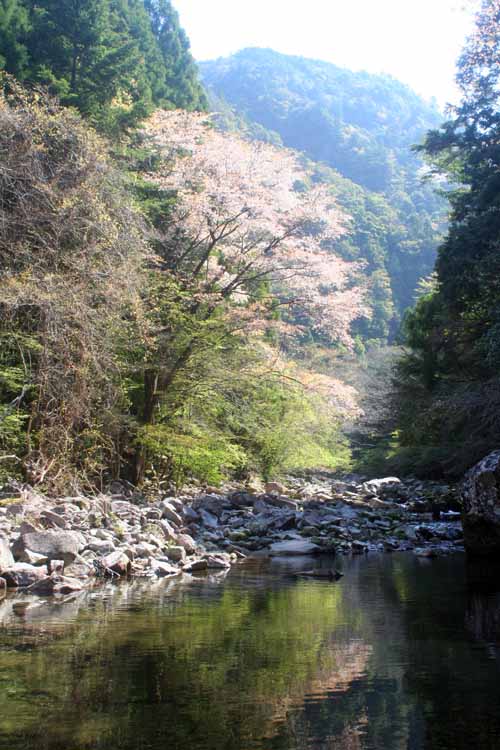 熊石町