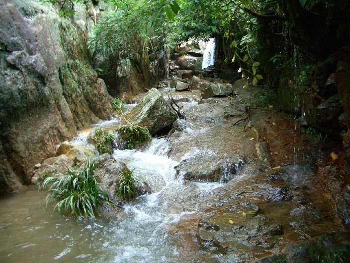 郴州莽山國家森林公園