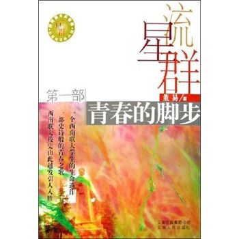 流星群：青春的腳步