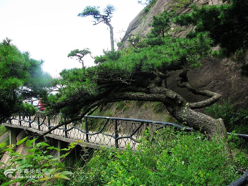 三清山棧道