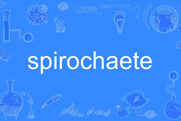 spirochaete