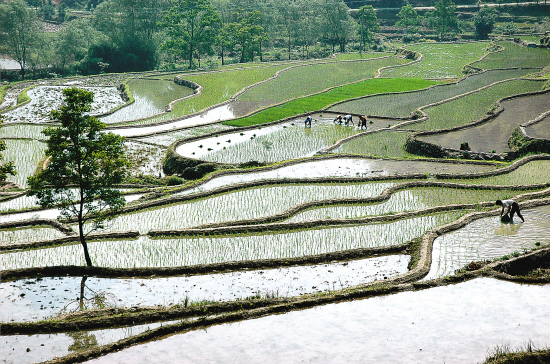 東坑村