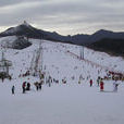 北京南山滑雪場