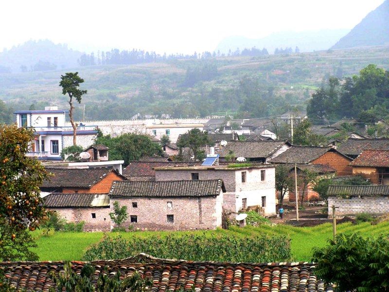 中村村(雲南昭通市綏江縣中城鎮下轄村)