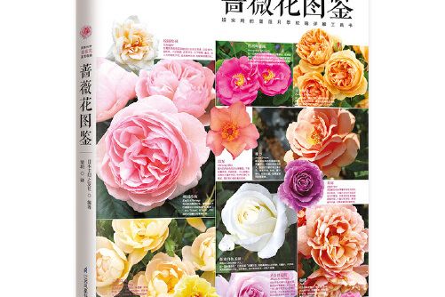 薔薇花圖鑑