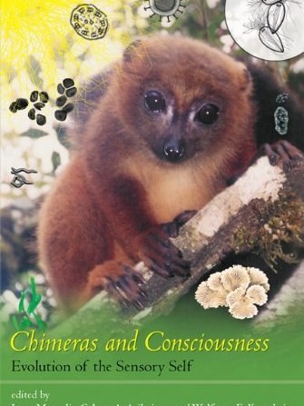 Chimeras and Consciousness