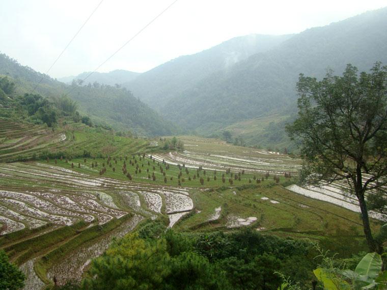 住紮自然村