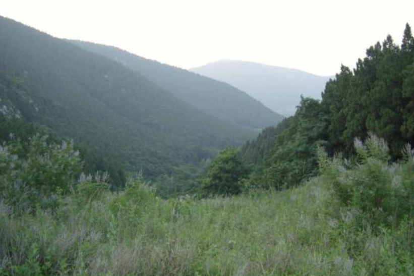 魯山林場(山東省微山縣魯山林場)