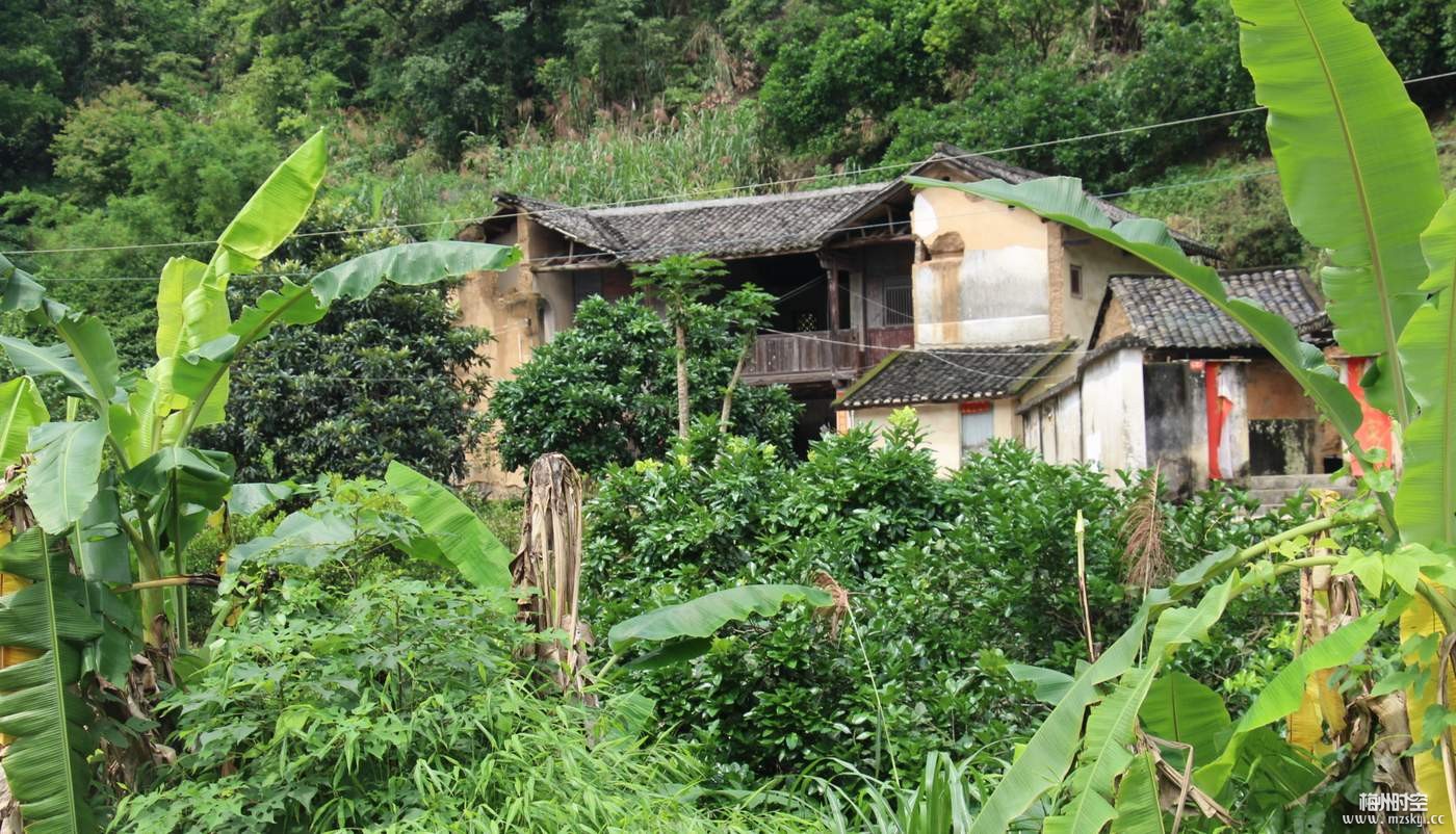 黃坑村(福建南平市建陽區徐市鎮下轄村)