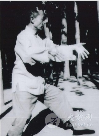 龍樁拳