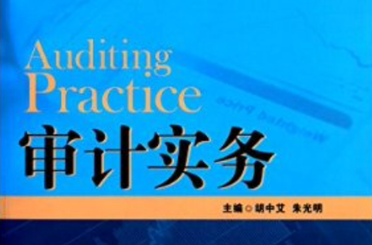 21世紀高職高專會計學系列教材·審計實務