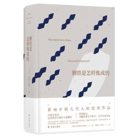 鋼鐵是怎樣煉成的(2018年中國電力出版社出版的圖書)