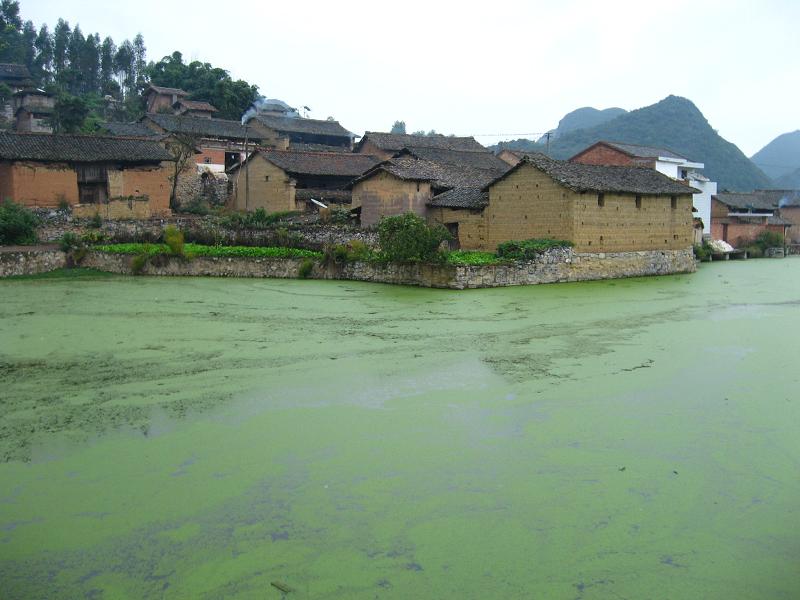 西基德村