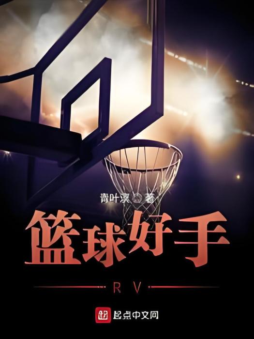 籃球好手RV