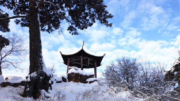 內蒙古海拉爾國家森林公園