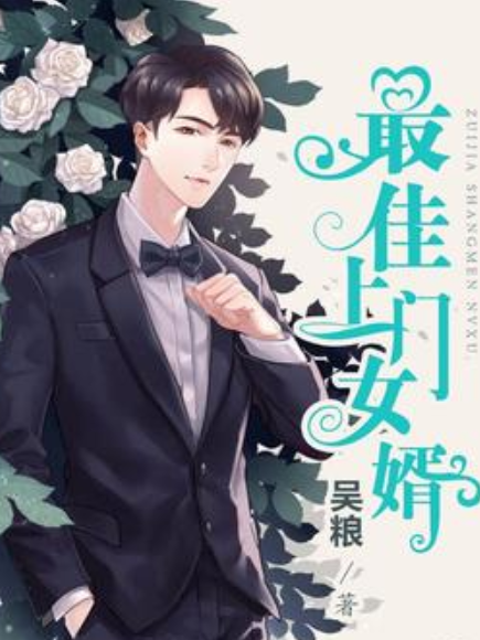 最佳上門女婿(吳糧所著小說)