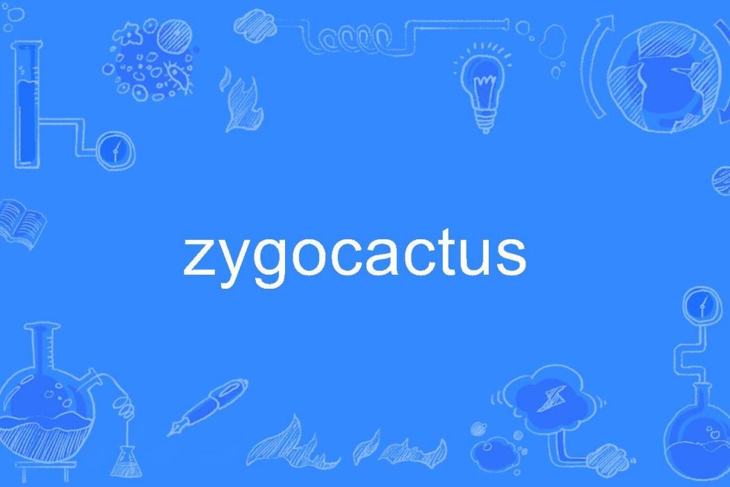 zygocactus