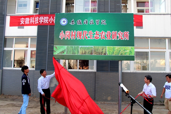 小崗村(安徽省小崗村)