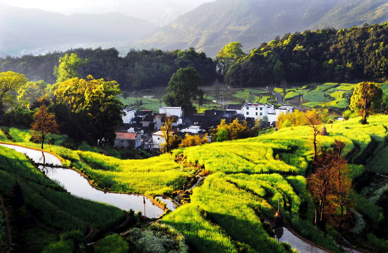 江嶺村(廣西玉林市興業縣大平山鎮下轄村)