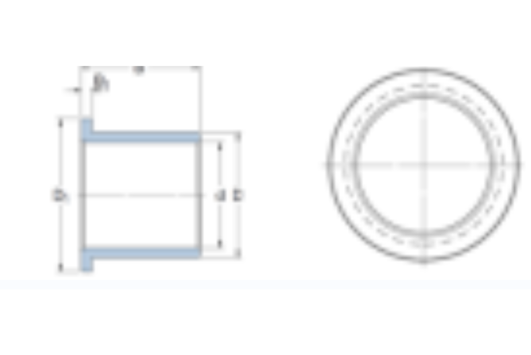 SKF PG160165100F軸承