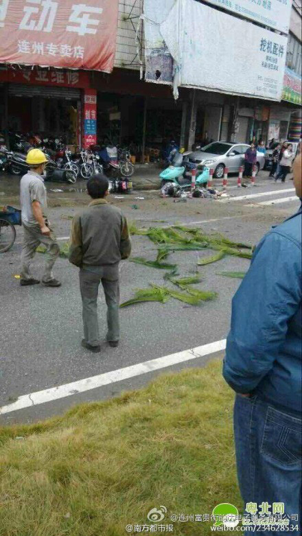 11·11廣東連州市重大交通事故