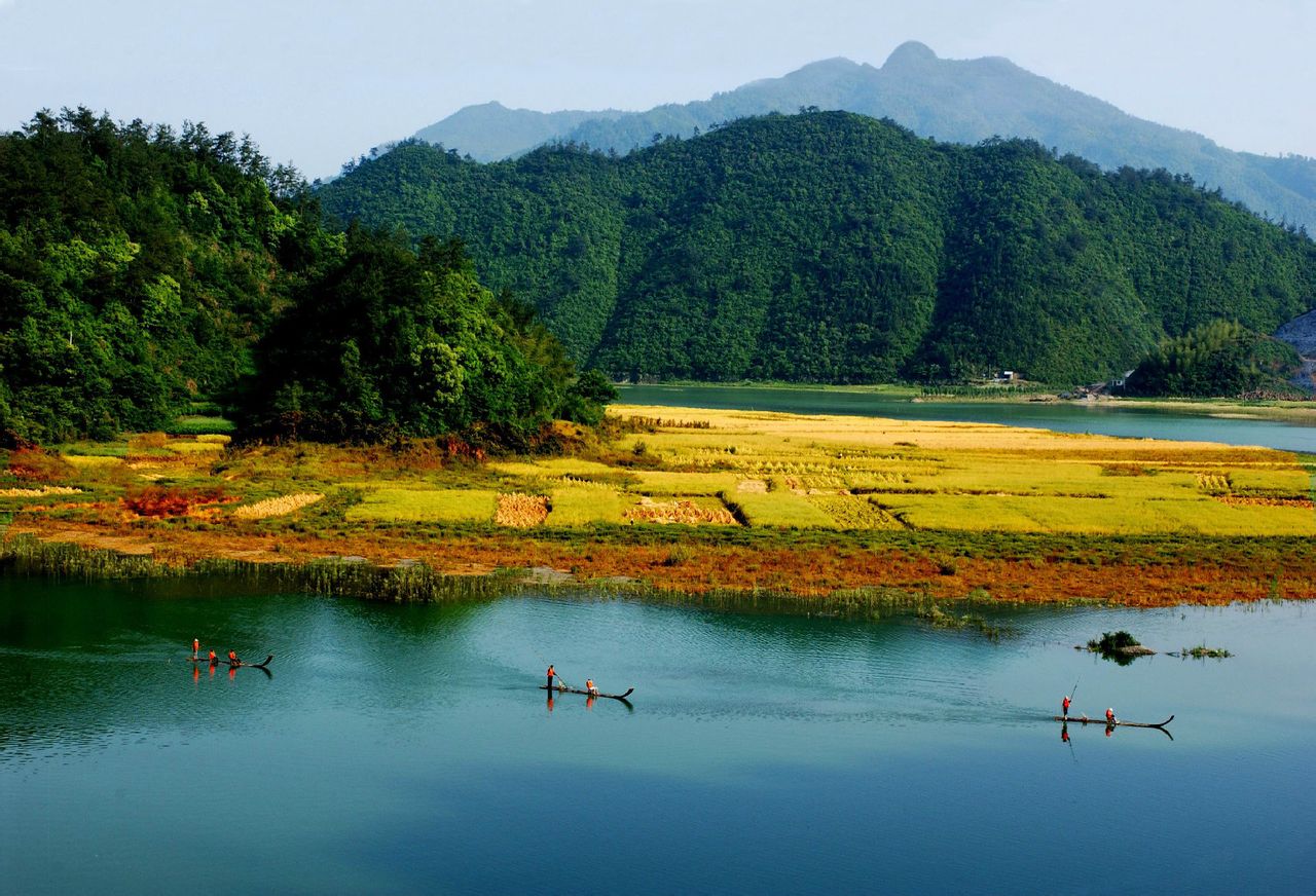 林木河村