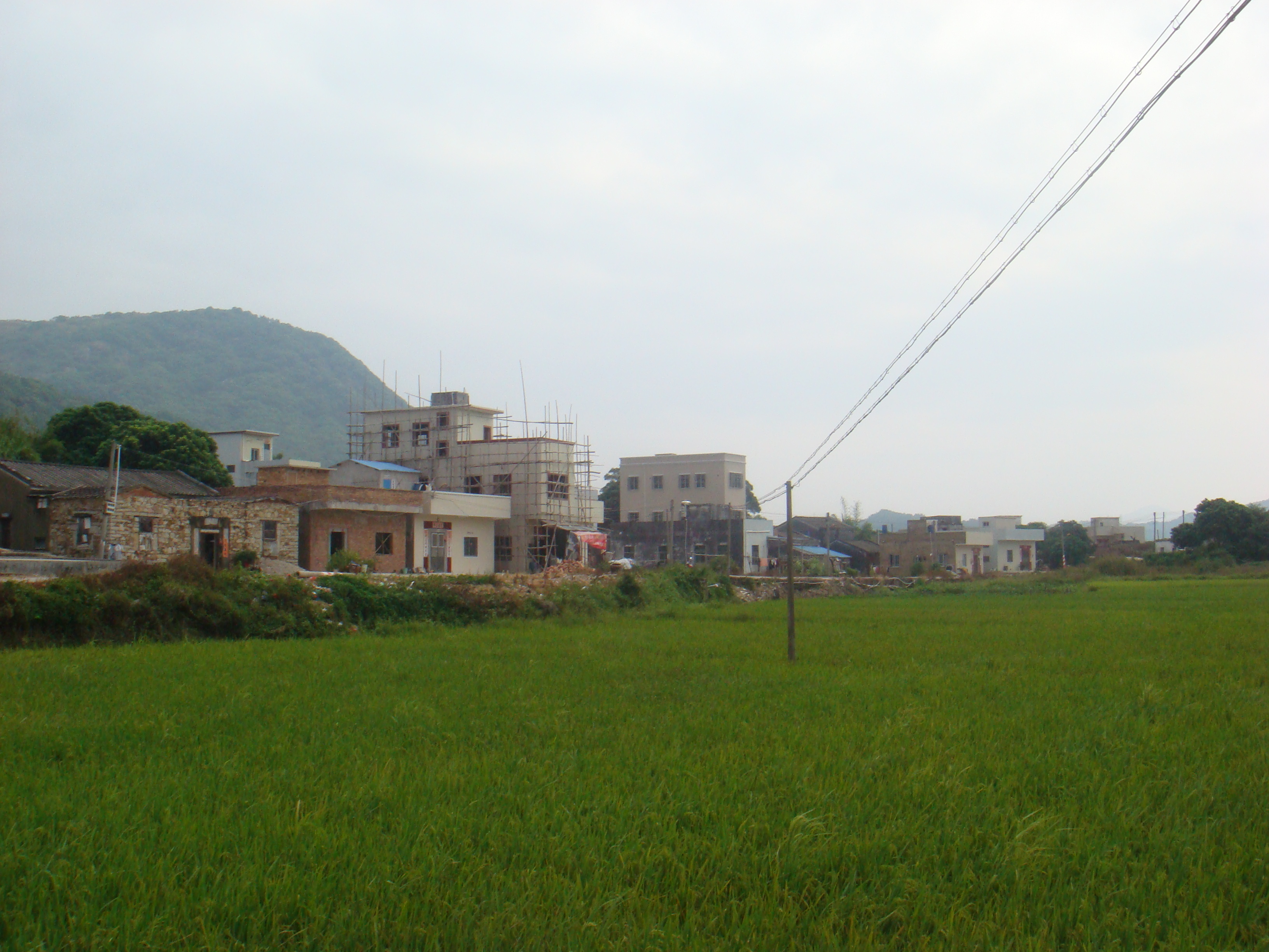 鐘厝村(福建省福清市鐘厝村)