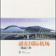 浦東國際機場三跑道工程(2008年上海科學技術出版的圖書)