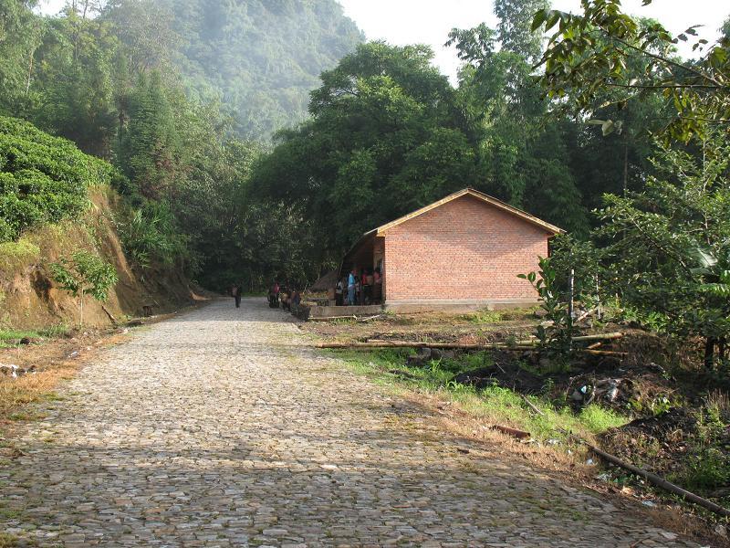 水庫茶廠村