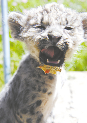 拉薩羅布林卡動物園