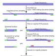 巢式PCR