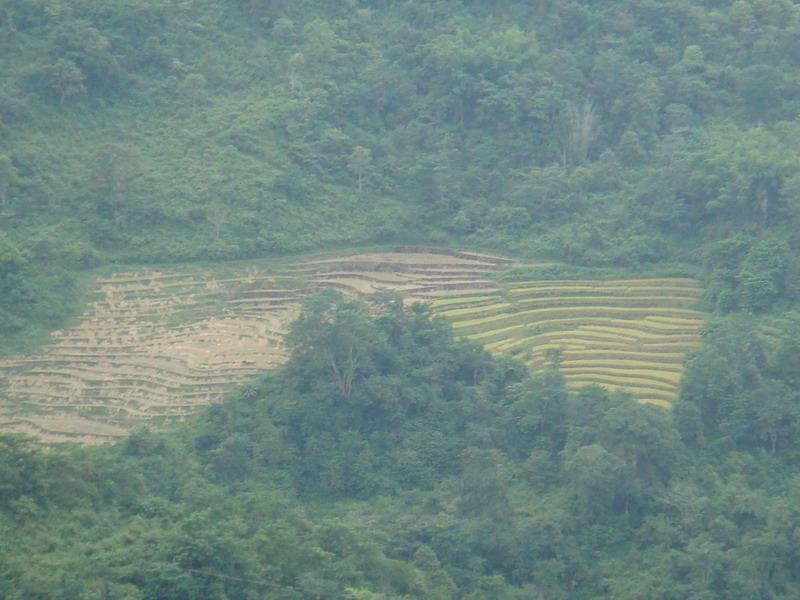 曼賀井村