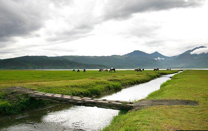 拉市海風景區