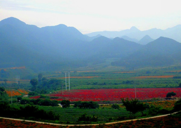 大勝嶺村