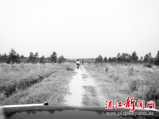 仙村(湛江市麻章區太平鎮仙村)