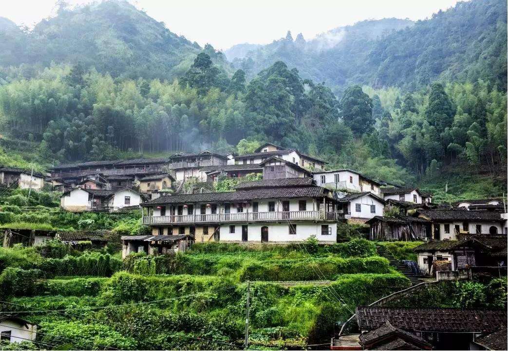 荷山村(福建省泉州市惠安縣東嶺鎮荷山村)