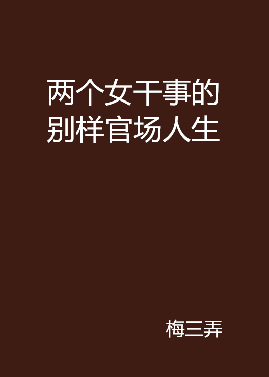 兩個女幹事的別樣官場人生