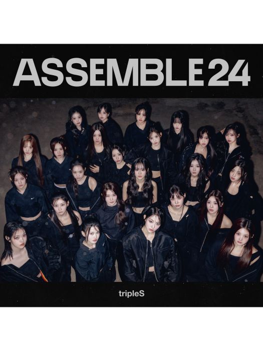 <ASSEMBLE24>