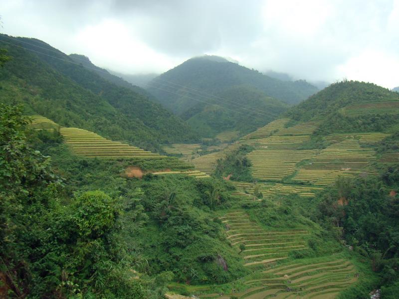 村中田園山野