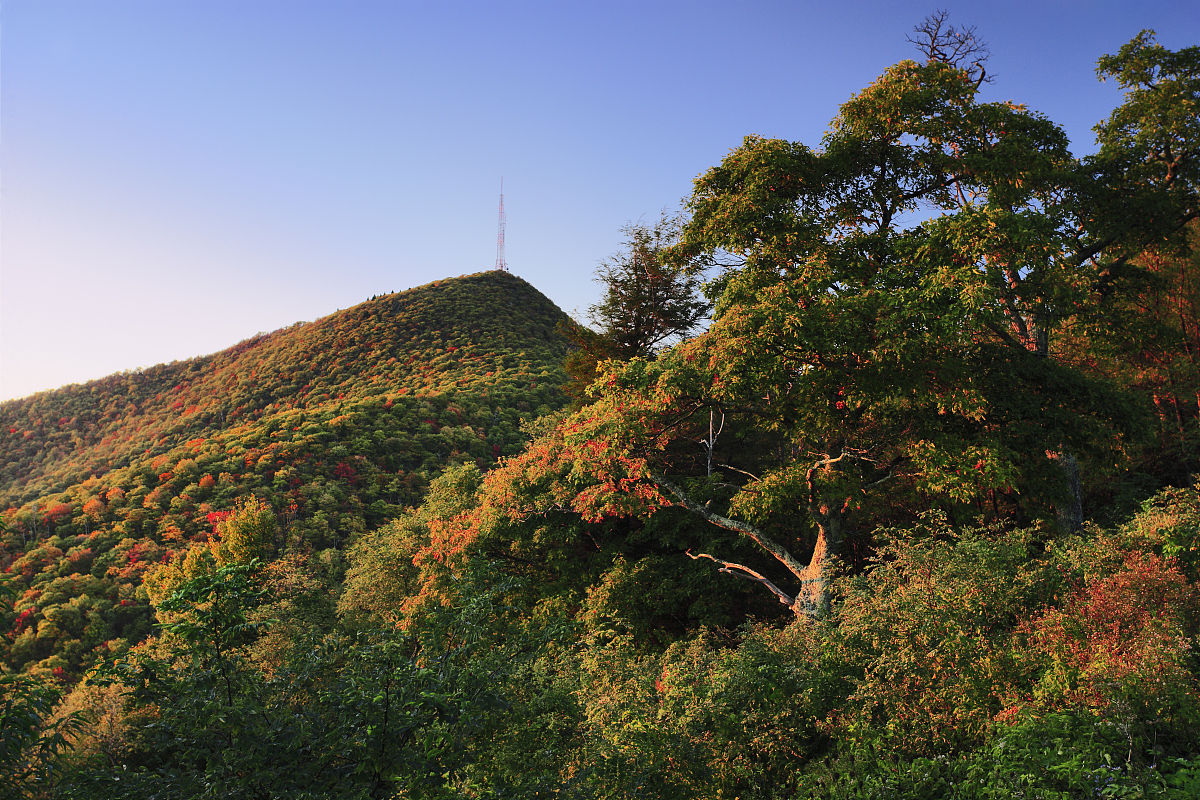 黑龍江金龍山國家森林公園