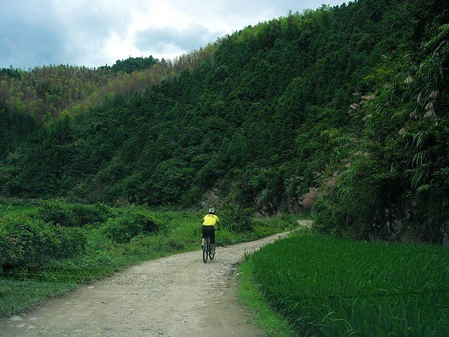 芳口村