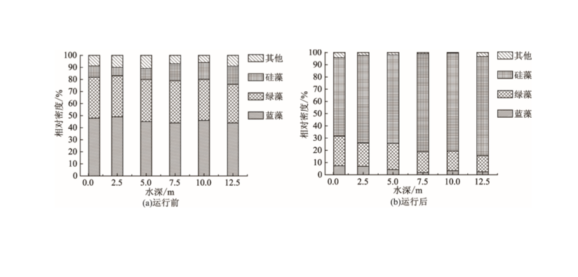 運行前後藻類群落結構變化