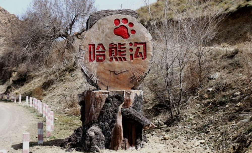 新疆烏魯木齊天山國家森林公園