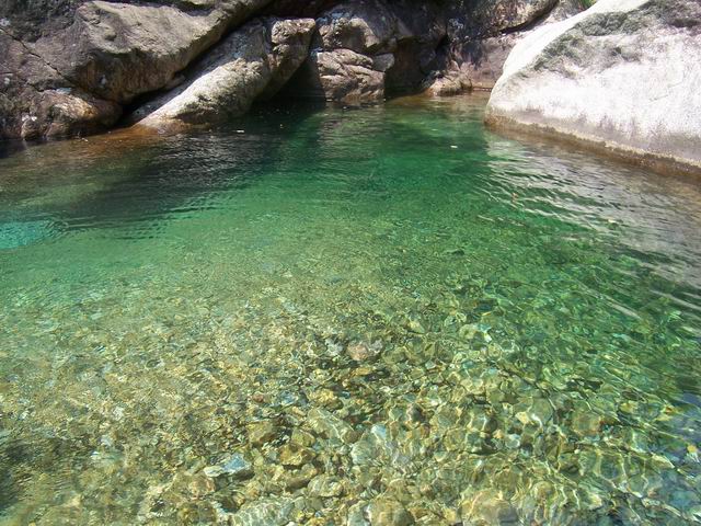 龍池坡森林生態旅遊風景區